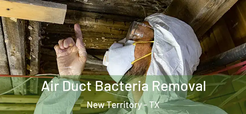 Air Duct Bacteria Removal New Territory - TX