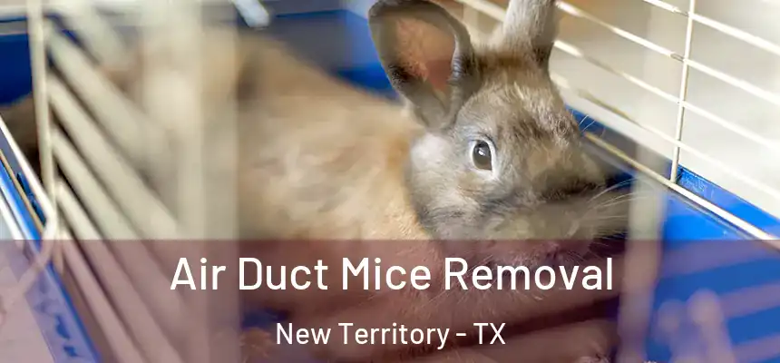  Air Duct Mice Removal New Territory - TX