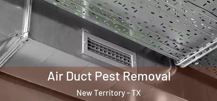  Air Duct Pest Removal New Territory - TX