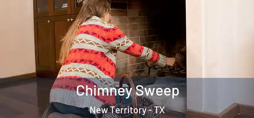  Chimney Sweep New Territory - TX