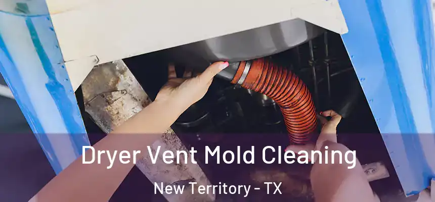  Dryer Vent Mold Cleaning New Territory - TX