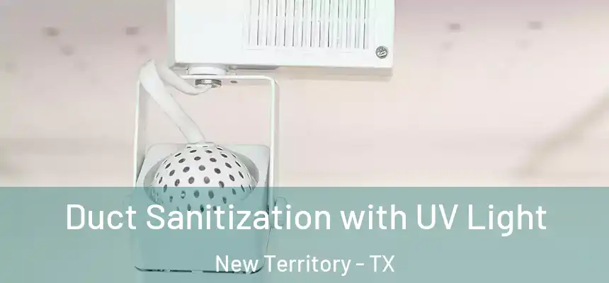  Duct Sanitization with UV Light New Territory - TX
