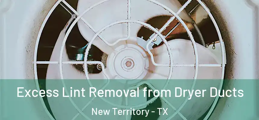  Excess Lint Removal from Dryer Ducts New Territory - TX