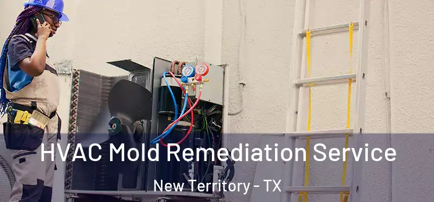  HVAC Mold Remediation Service New Territory - TX