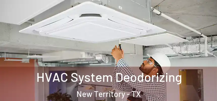  HVAC System Deodorizing New Territory - TX