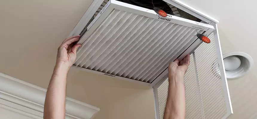 Our Insect Removal from Air Ducts Services in New Territory, TX