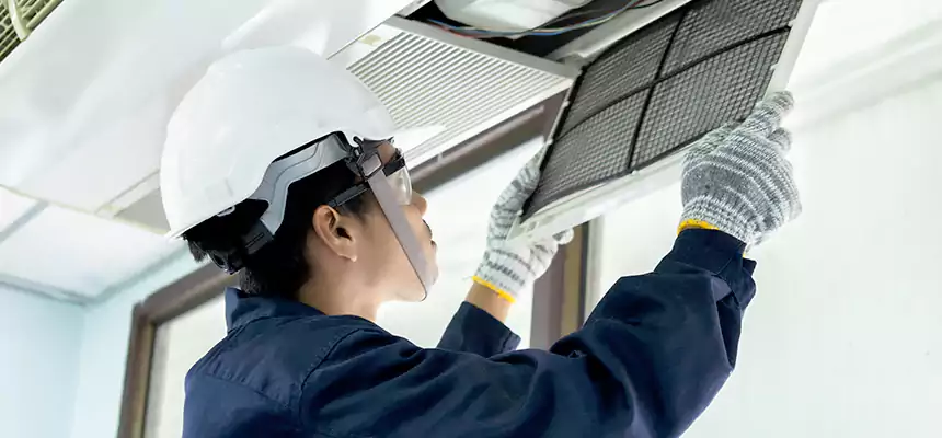 Our Mold & Mildew Removal from Air Ducts Services in New Territory, TX