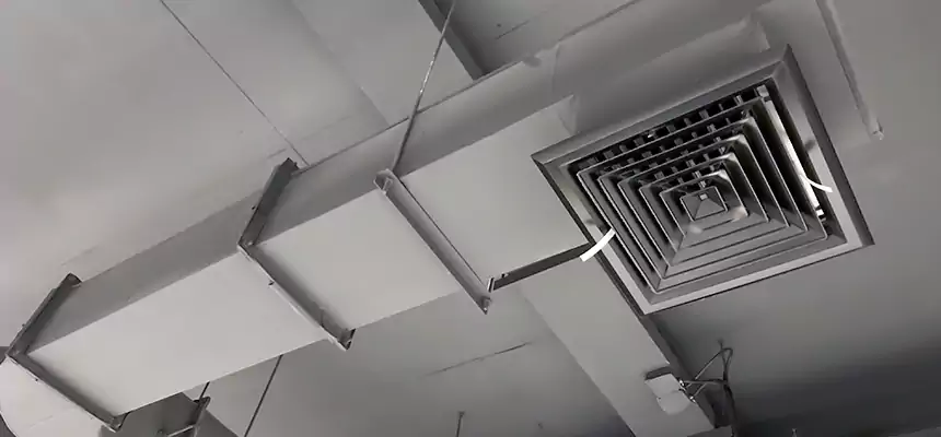 Our Pest Removal From Ducts Services in New Territory, TX