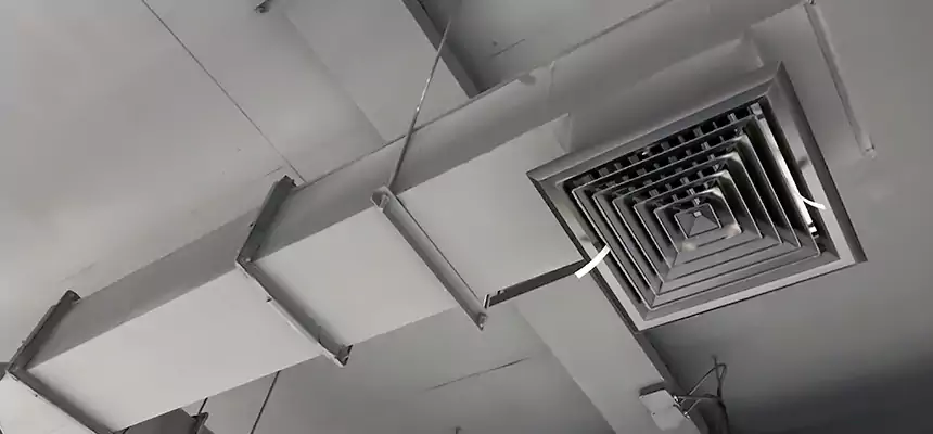 Our Rodent Droppings In Vents Services in New Territory, TX