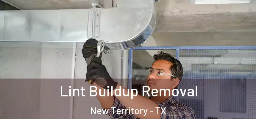  Lint Buildup Removal New Territory - TX