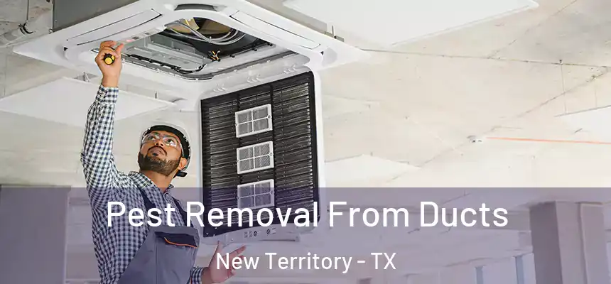  Pest Removal From Ducts New Territory - TX