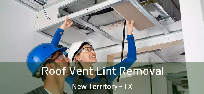  Roof Vent Lint Removal New Territory - TX