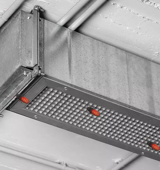 About Air Duct Cockroach Removal in New Territory, TX