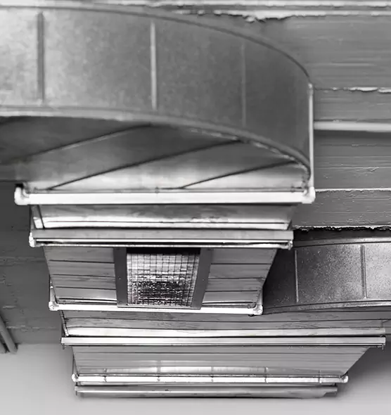 Professional Air Duct Pest Removal in New Territory, TX