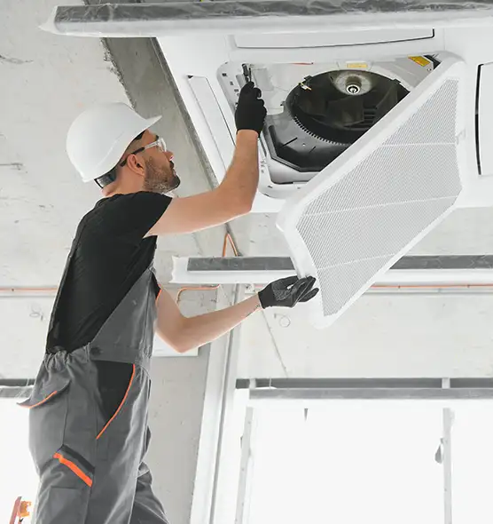 About Air Duct Rodent Removal in New Territory, TX