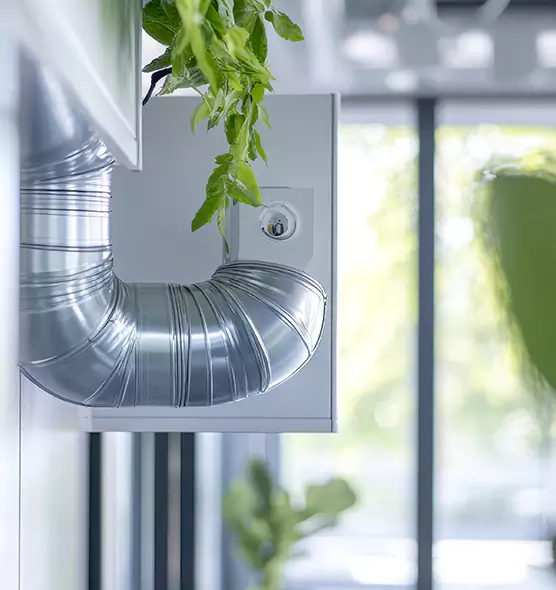 Professional Eco-Friendly Duct Cleaning Services in New Territory, TX