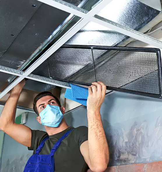 Professional Home Ventilation Cleaning in New Territory, TX