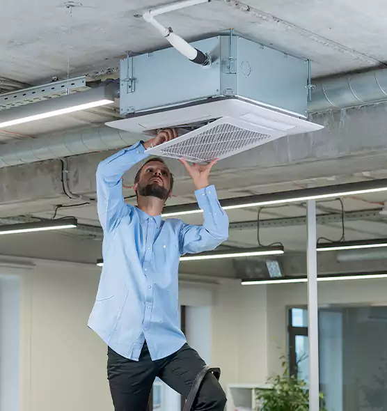 Advanced Rodent Droppings In Vents in New Territory, TX