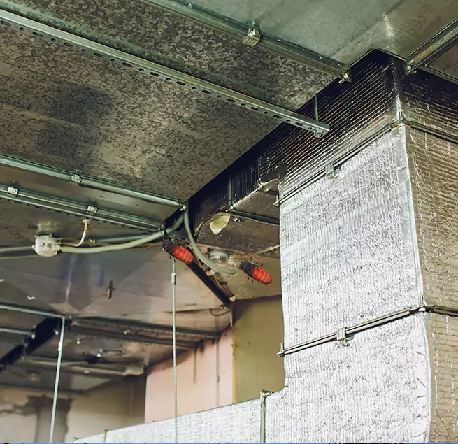 Why Homeowners & Businesses Trust Us in New Territory, TX?