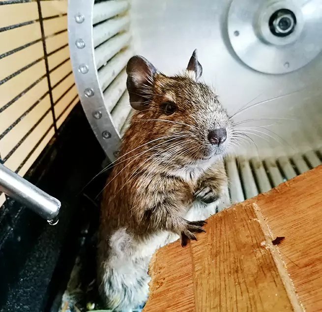 Why Homeowners & Businesses Trust Us New Territory, TX?