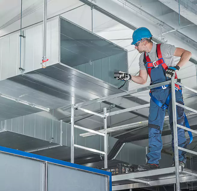 Why Homeowners & Businesses Trust Us in New Territory, TX?