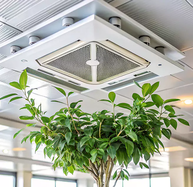 Why Homeowners & Businesses Trust Us in New Territory, TX