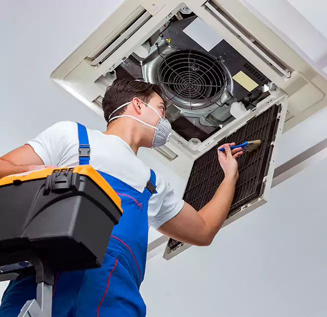 Why Homeowners & Businesses Trust Us in New Territory, TX?