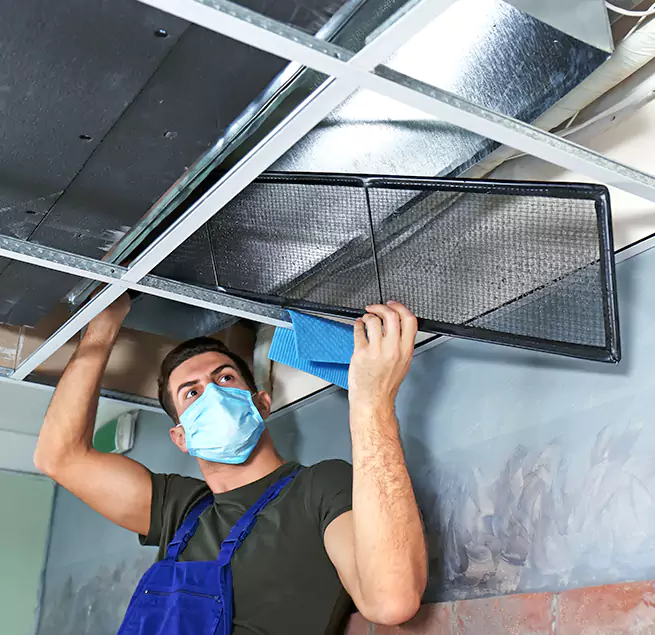  Why Homeowners Businesses Trust Us  in New Territory, TX?